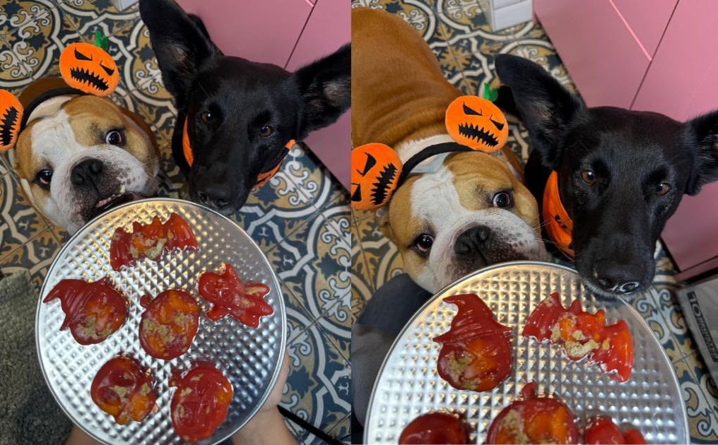 halloweenske pamlsky pre psov